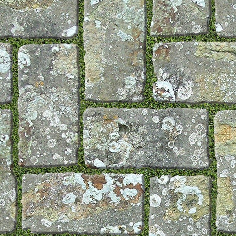 Damaged Stone Park Paving Texture Seamless 18818